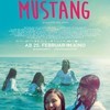 Filmplakat MUSTANG